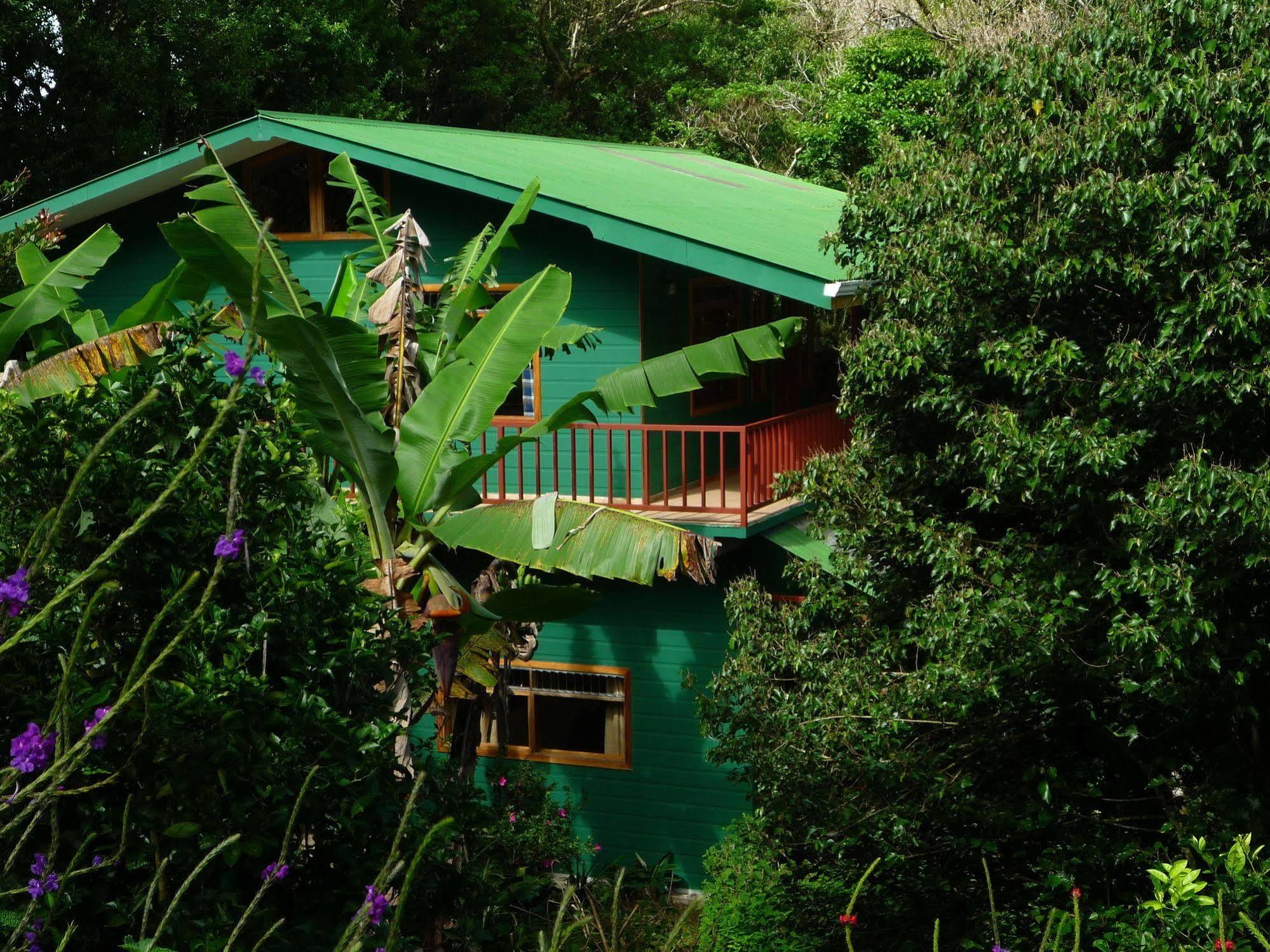 Hospedaje Mariposa Monteverde Exterior foto
